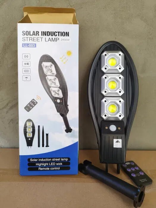 LED Solar Induction Street Lamp - 2